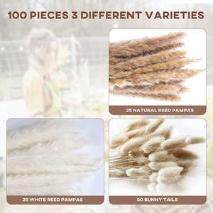 Pequeño ramo <span class=keywords><strong>de</strong></span> caña seca <span class=keywords><strong>Cola</strong></span> <span class=keywords><strong>de</strong></span> <span class=keywords><strong>Caballo</strong></span> batidor Pampas hierba conejo <span class=keywords><strong>cola</strong></span> <span class=keywords><strong>flor</strong></span> para boda hogar decoraciones graduación Halloween - Product Image 6