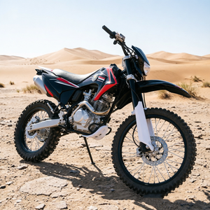 Motocicleta Todoterreno de 250CC, Altura del Asiento 85CM, Vehículo Todoterreno <span class=keywords><strong>KTM</strong></span> para Adultos y Niños, ATV/UTV, Vehículo para Nieve y Arena - Product Image 2