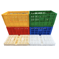 BERYS Bacs à œufs empilables en plastique pour 240 œufs, paniers de rangement pliables, boîtes mobiles, rouge, état neuf, usage domestique, usage avicole