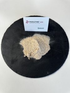 Italiaanse Leverancier Poolzyme Keto Hoge Sterkte Schimmel Lipase Grondstof Ideaal Voor Elk Koolhydraatarm Dieet - Product Image 4
