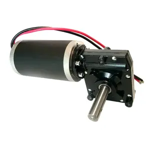 12V 24V 300W Dc Motor Worm Gear Motor With High Torque Drive Stainless Steel Worm Reducer