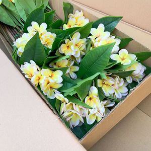 Nouvel Arrivage H-1006 – Fleurs Artificielles de Plumeria Rubra (<span class=keywords><strong>Frangipanier</strong></span>) pour Mariages, Événements, Décoration Tropicale <span class=keywords><strong>et</strong></span> Hôtels - Product Image 1