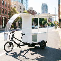 Tricycle de livraison robuste pour marchandises lourdes avec caisse arrière pour adultes – Vélo cargo pour transport de marchandises