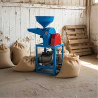Petit moulin à riz en métal durable, machine à moudre les céréales, machine à broyer les aliments pour usage agricole et familial