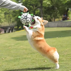Jouet à mâcher pour chien et chat en TPR écologique classique, en forme de ballon de football, emballage en carton - Product Image 3