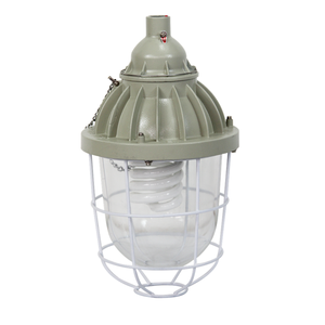 Éclairage industriel BCD 200W 400W IP65 ATEX <span class=keywords><strong>Zone</strong></span> 1 2 HID LED antidéflagrant avec cage - Product Image 4