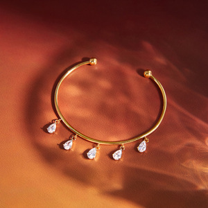 Bracelet à pampilles en zircon inspiré du Feng Shui, en acier inoxydable plaqué or 18 carats, serti à griffes, bijou unisexe, cadeau - Product Image 4