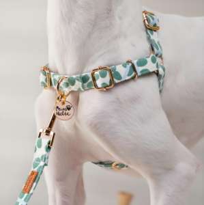 Arnés de Algodón para Perro, Talla L, Elegante, Moderno, Encantador, Transpirable, Duradero, Antitirones, Sólido, a la Moda, Accesorio Personalizado para Mascotas, Venta al Por Mayor - Product Image 2