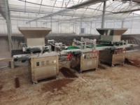 Semences de fleurs Semences de légumes Planteur de bouchons Machine à semis automatique Plateau à bouchons automatique Ligne de production de semis