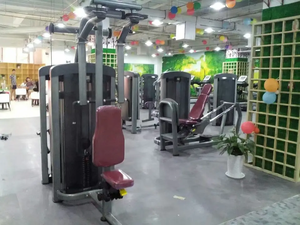 Gimnasio conjunto completo equipo fitness gimnasio equipos fabricante profesional gimnasio máquinas <span class=keywords><strong>Peck</strong></span> cubierta mosca máquina - Product Image 3