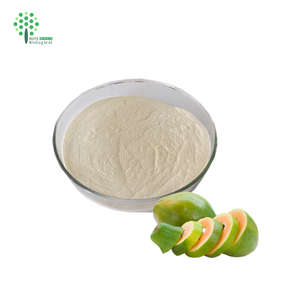 Cibo alla rinfusa estratto di frutta <span class=keywords><strong>Papaya</strong></span> in polvere integratore papaina in polvere - Product Image 1