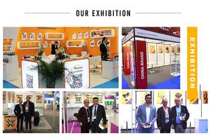 Kit de réparation du levier de vitesses utilisé pour FIAT DUCATO pour CITROEN <span class=keywords><strong>JUMPER</strong></span> pour <span class=keywords><strong>PEUGEOT</strong></span> BOXER 55197394 1318418080 243831 254917 - Product Image 4