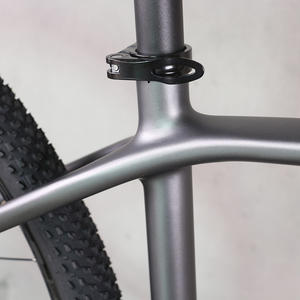 Bicicleta Completa <span class=keywords><strong>Tantan</strong></span> 29er MTB, Cuadro de Carbono, Bicicleta de Montaña Hardtail, Grupo A12-2*12S, Juego de Ruedas de Aluminio, 15/17/19'' FM019 - Product Image 5