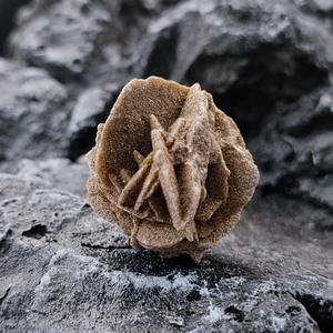 Natural <span class=keywords><strong>Adenium</strong></span> <span class=keywords><strong>obesum</strong></span> Piedra en bruto colgante energía curación piedra preciosa colgante collar Chakra Halo amatista joyería colgantes - Product Image 5