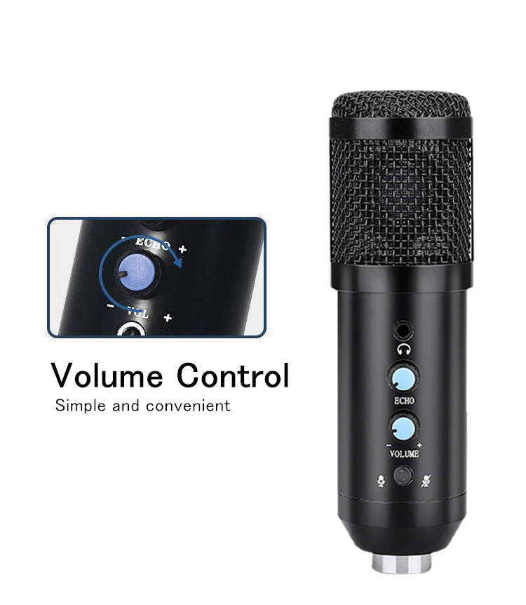 BM-868 USB Condenser Microphone for Professional Voice Recording