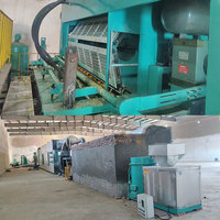 Mesin Pembuat Kotak Telur dan Karton dari Pulp Daur Ulang Kertas Limbah Otomatis, Kontrol PLC, Motor Gearbox, Pompa, Kualitas Tinggi
