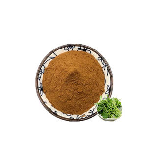 창고 도매 워터크레스 추출물 분말 10:1 5:1 워터크레스 분말 - Product Image 1