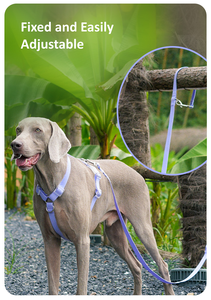 Correa de perro de doble cabeza de PVC impermeable verde, duradera, suave, de lujo, estilo moderno, accesorio para mascotas, venta al por mayor, OEM, ODM - Product Image 3