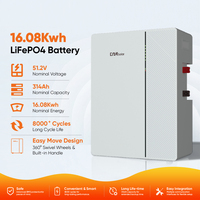 Batterie au lithium DAH Solar 16080Wh 51.2V 314Ah avec communication CAN RS485 compatible avec les onduleurs hybrides domestiques ESS