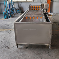 Groente- en fruitwasmachine met motor, multifunctionele reinigingsapparatuur van roestvrij staal