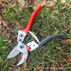 Sécateur pour arbres fruitiers Hisaichiro 828, lame en acier allié de 20-30 mm, structure papillon, outil de jardin - Product Image 2