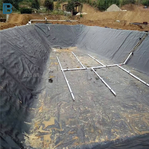 Thiết Kế Hiện Đại <span class=keywords><strong>HDPE</strong></span> Màng Đất 0.5Mm 0.75Mm Không Thấm Nước Ao Lót Cho Cá Và Tôm Nuôi Cho Bãi Rác Dự Án - Product Image 2