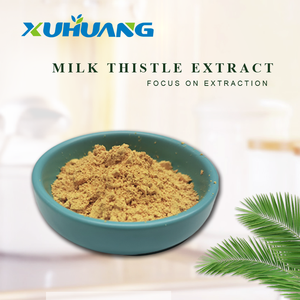 Лучшая цена экстракт расторопши 80% Силимарин - Product Image 4