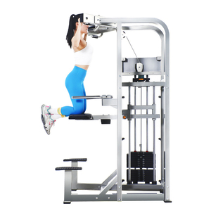 Strength Training Commercial Gym Fitness Machine-Steel Pin Loaded Chin Dip Kneeling Type for Body Building WD-HX610 OEM/ODM Cust - Product Image 2