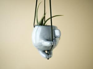Planteur d'air Koala Forme D'escalade Koala <span class=keywords><strong>Jardinière</strong></span> Suspendue tenir Usines D'air ou Succulentes - Product Image 3