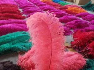 Dekorasi Bulu Burung Unta Burgundy Panas untuk Pesta Kostum Karnaval