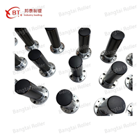 Rouleau de guidage en aluminium cantilever BT028 |   Rouleau de guidage de bande industrielle à support simple, fabrication OEM personnalisée