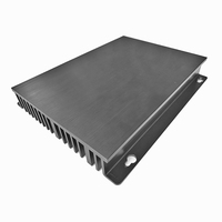 Dissipateur de chaleur pour chargeur mural Extrusion 199(W)* 35(H)* 250(L)mm Dissipateur thermique en aluminium anodisé noir
