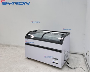 Congélateur îlot européen pour supermarché, à couvercle coulissant ouvert en hauteur, pour affichage combiné d'aliments surgelés en sac et de viande - Product Image 5