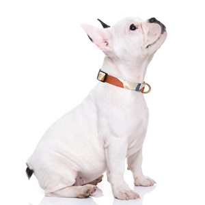 Lindo collar bohemio para mascotas Collar de perro mediano de tela personalizado ajustable - Product Image 2