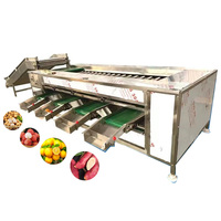 Commerciële sorteer- en sorteermachine voor aardappelen, uien, tomaten, lychees, kiwi's en appels; sorteermachine met rollen voor het sorteren van fruit op maat.