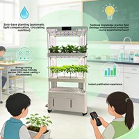 Système de culture hydroponique automatique intelligent sans sol pour légumes ; Usine de culture intérieure domestique ; Système hydroponique vertical pour fruits et légumes