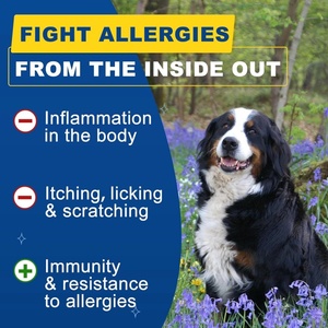 Eigenmarke Willkommen mit Omega 3 Saisonale Allergie-Linderung Kausnacks für Alle Rassen Haustier-Gesundheitspflege & Nahrungsergänzungsmittel - Product Image 2