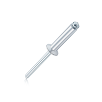 Rivet de bateau personnalisé couleur blanc noir bas prix extrémité ouverte Pop Rivet aveugle Avdel fournisseurs