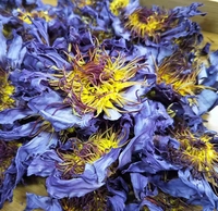 KAIYANGE Conformité Marché Vente en Gros Fleurs de Lotus Séchées Thé Magnifique Nymphaea Caerulea Tisane Relaxante Sachets de Thé TOP