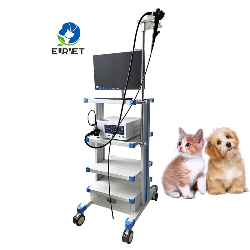 Gastrocolonoscopio veterinario para mascotas eléctrico y colonoscopio veterinario EUR VET en un juego a la venta