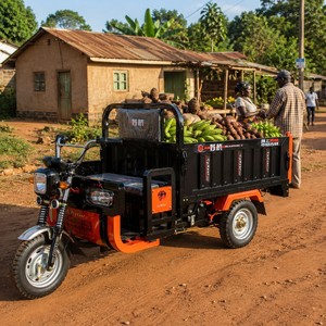 รถสามล้อไฟฟ้ากันน้ำสำหรับใช้งานในพื้นที่ชนบท กำลังไฟ 1000W 2000W พร้อมโลโก้สั่งทำพิเศษ สำหรับใช้ในฟาร์ม - Product Image 3