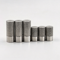 Penutup Pelindung Sensor Kelembaban Tanah Tahan Air, Sensor Filter Pipa Bubuk Logam Stainless Steel