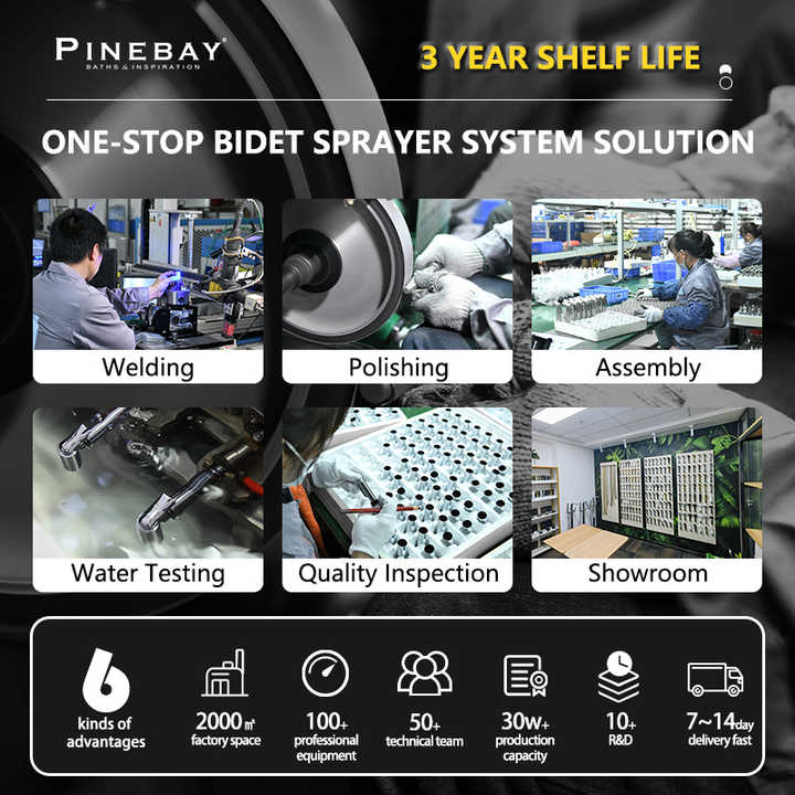 PINEBAY New Trend Bathroom Handheld Toilet Bidet Sprayer Set Woman