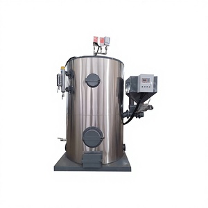 Промышленный вертикальный парогенератор на биомассе с корпусом из углеродистой стали, энергосберегающий, с удаленным мониторингом - Product Image 2