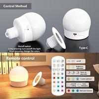 Lampu LED RGB Isi Ulang E26/E27 untuk Dekorasi Dalam Ruangan, Dilengkapi Remote Control, Baterai, Pengait Plastik, Catu Daya DC, CRI 80