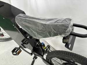 快速运输胖轮胎电动自行车QS5000电动自行车，带大ebike电池，续航里程更低，性价比高 - Product Image 3