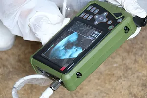 5.6 Inch Display Hand-Held Veterinaire Medische Varkens Schapen Ultrasound Diagnostic System