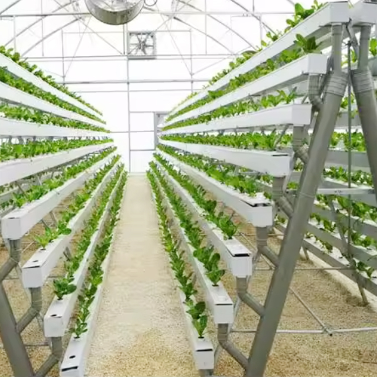New Arrival Agricultural Greenhouse Irrigation Hydroponic