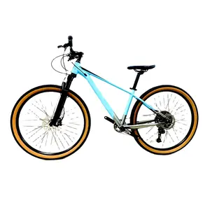 12 속도 29*2.1 인치 MTB 자전거 성인용 맞춤형 디자인 알루미늄 합금 프레임 내부 배선 산악 자전거