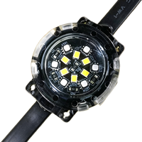 Lampu Karnaval Pixel RGB 24V yang Dapat Diprogram, Lampu Titik LED 40mm untuk Wahana Hiburan Taman Bertema, LED PC IP65 CRI90